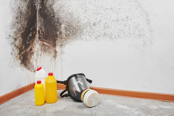 Best Residential Mold Removal  in Broadway, VA