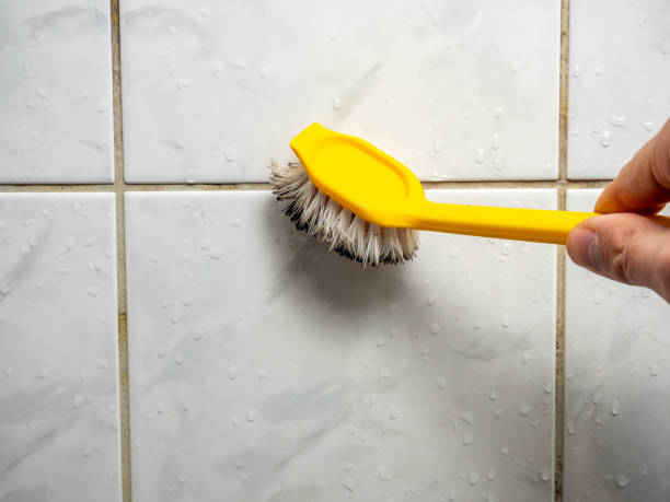 Best Same-Day Mold Removal  in Broadway, VA