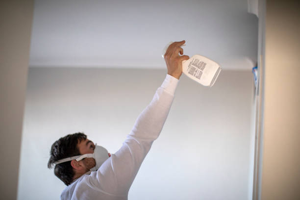 Best Toxic Mold Removal  in Broadway, VA
