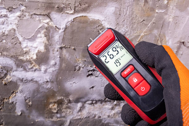 Best Residential Mold Removal  in Broadway, VA