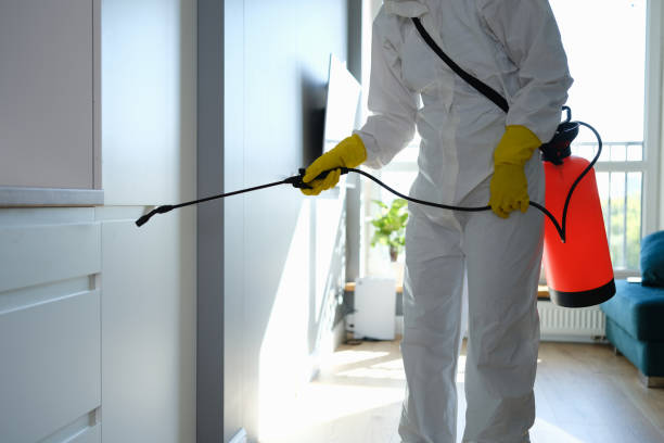 Certified Mold Removal in Broadway, VA