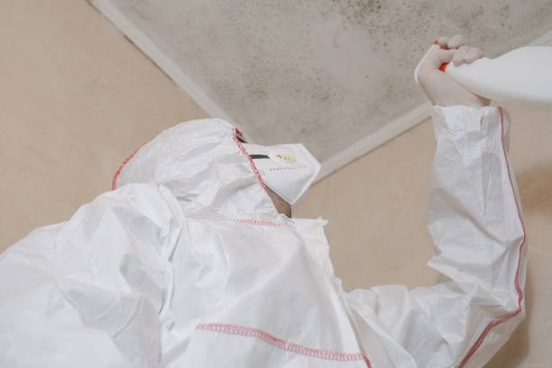 Best Mold Removal and Inspection  in Broadway, VA
