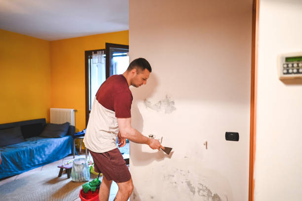 Mold Removal and Inspection in Broadway, VA